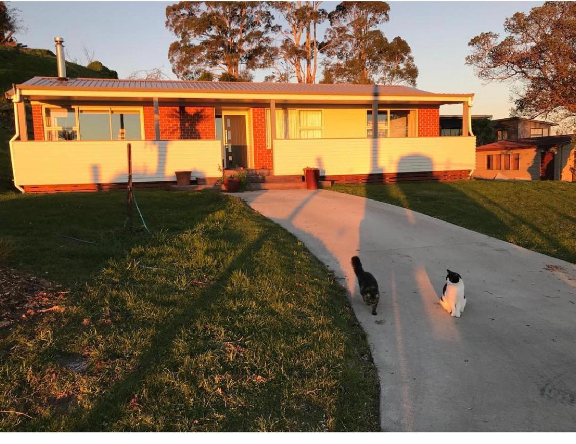 Rotorua Lakes Cottage Ngoại thất bức ảnh