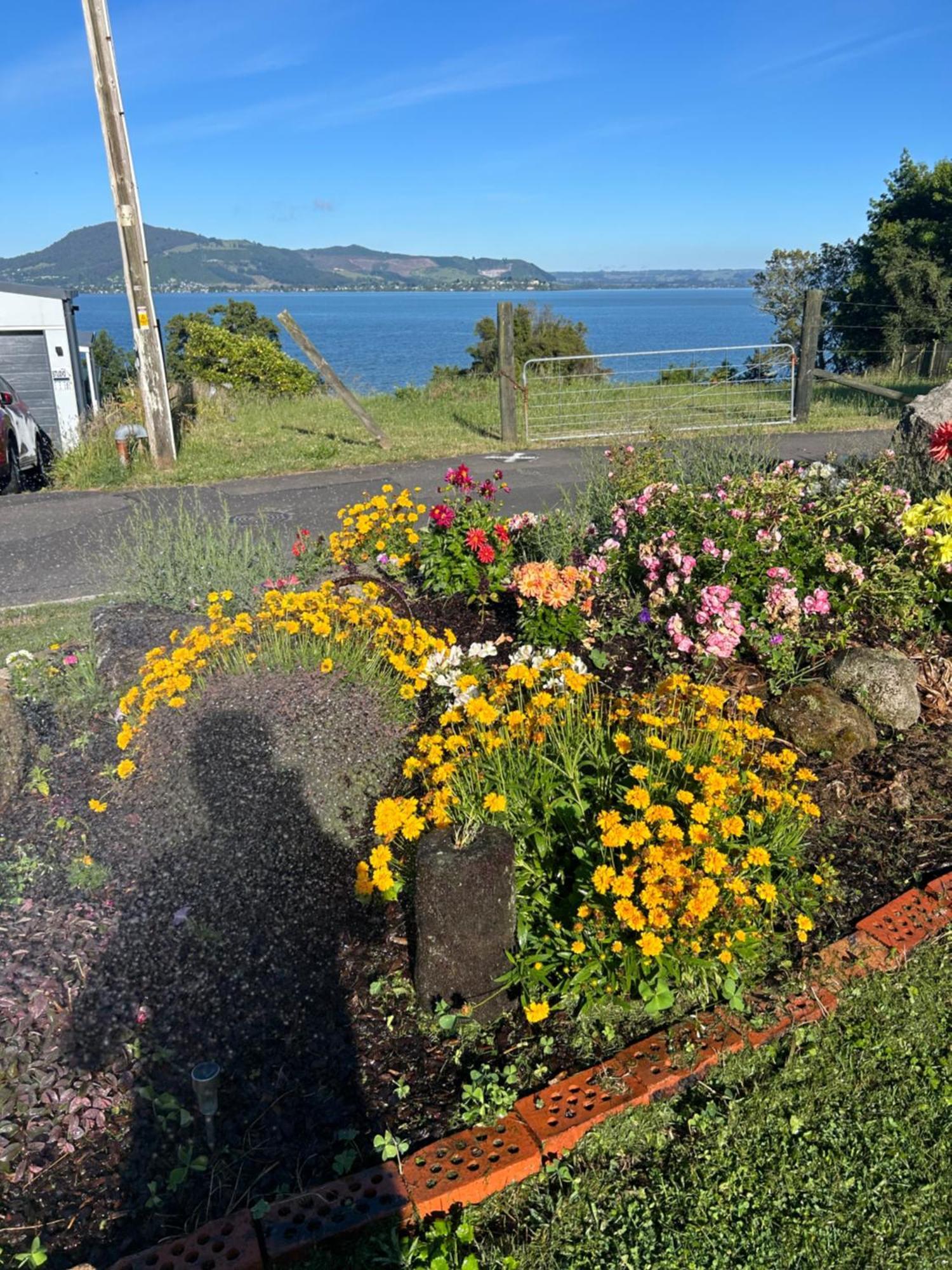 Rotorua Lakes Cottage Ngoại thất bức ảnh